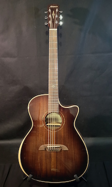 Alvarez Deluxe Artist Elite - click for more photos