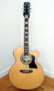 Vineyard JC501CEQ/T Acoustic w/ EQ and Tuner - click for more photos