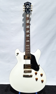 Washburn HB45WHK  - click for more photos